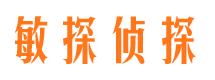 怀安市私家侦探